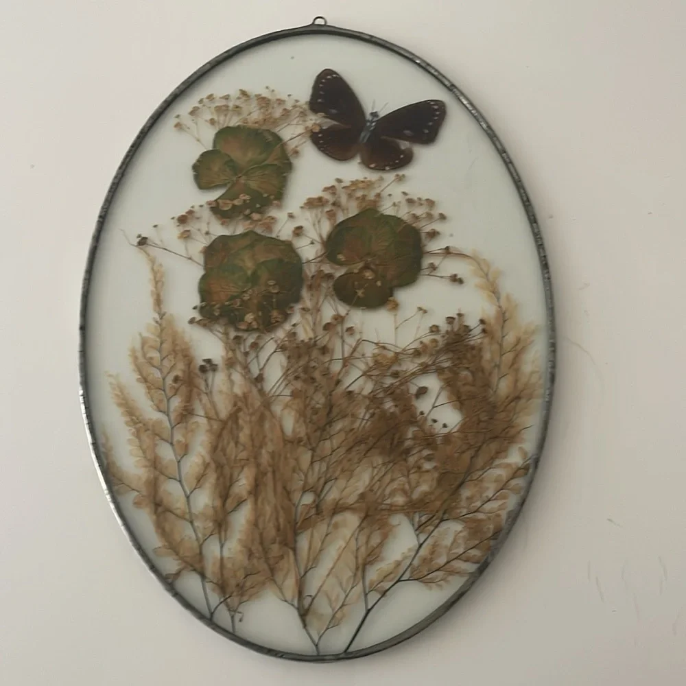 Wall Art dried butterflies and flowers Set of 2